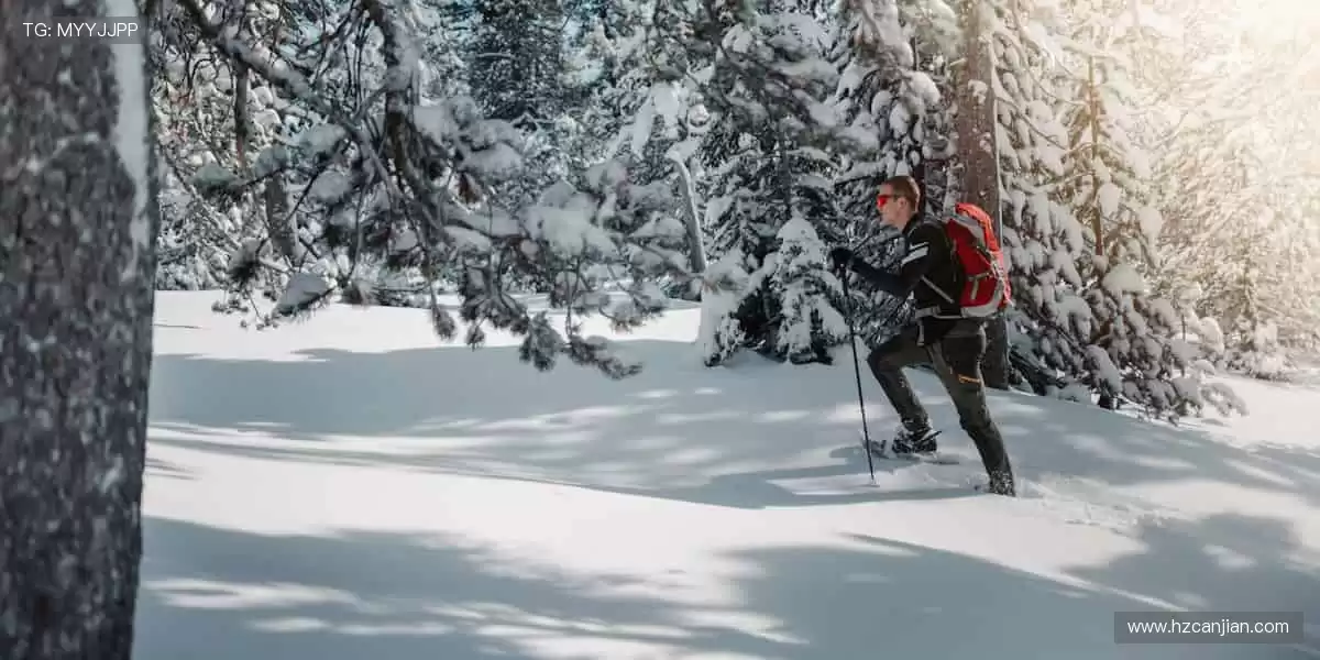 随时随地，直击赛场！📱🎯
